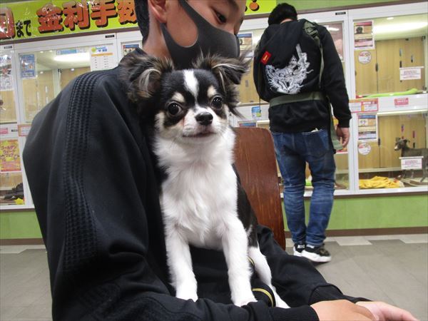 写真