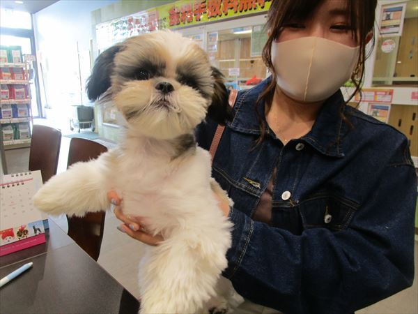 写真