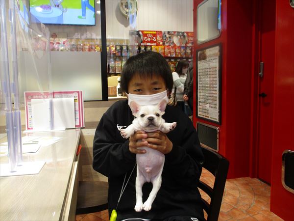 写真