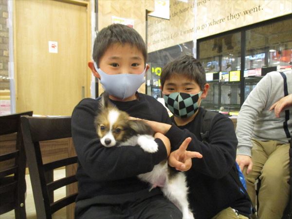 写真