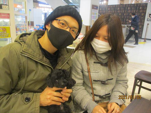 写真