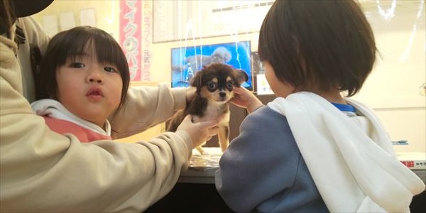 写真