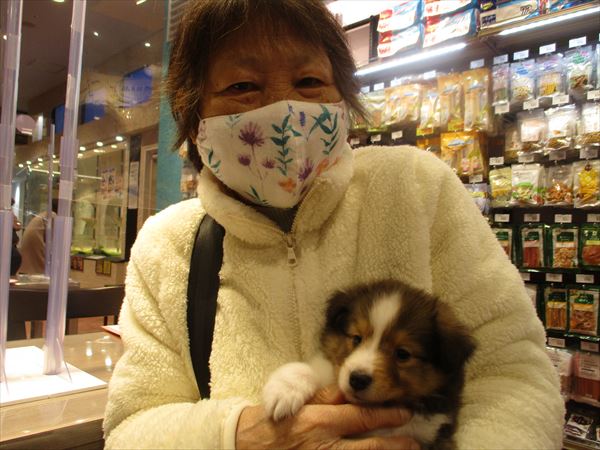 写真