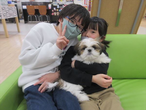 写真