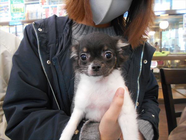 写真