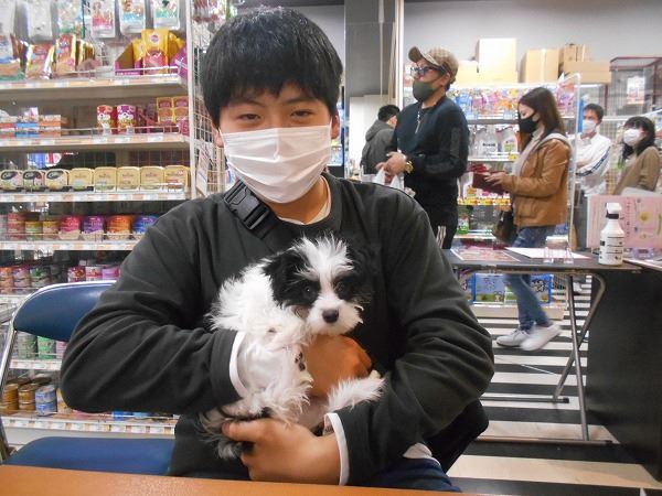 写真