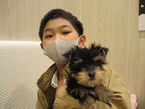 写真