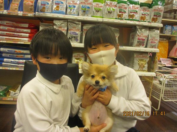 写真