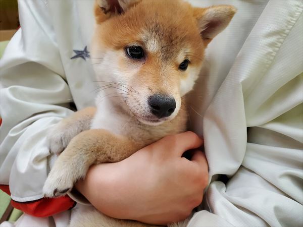 写真