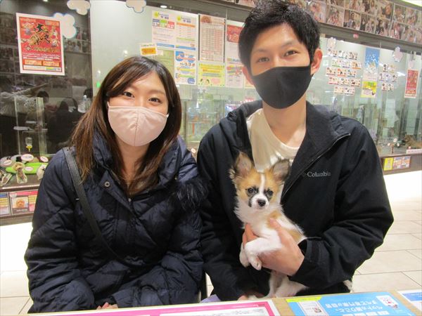 写真