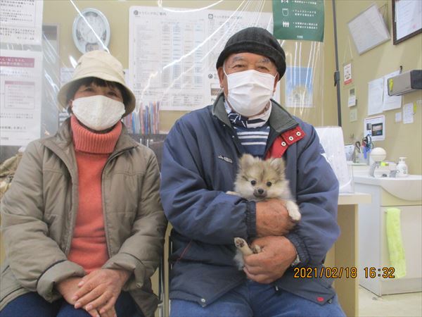 写真