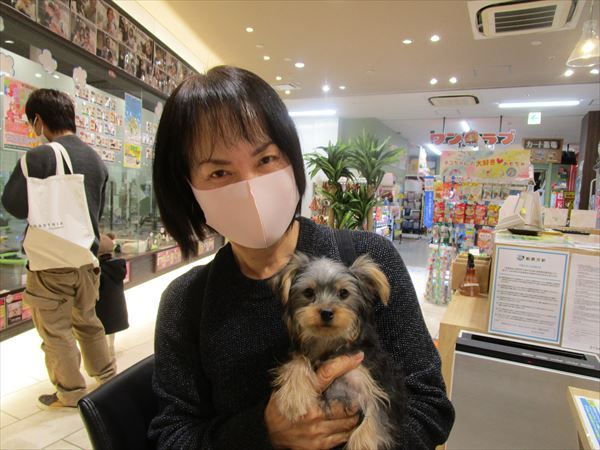 写真