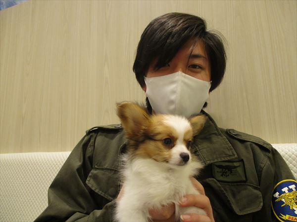 写真