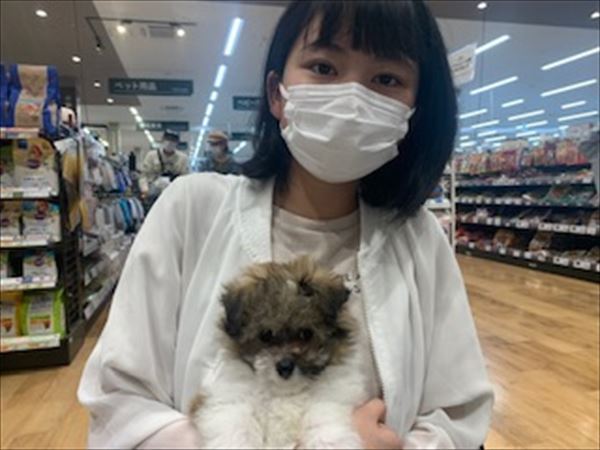 写真