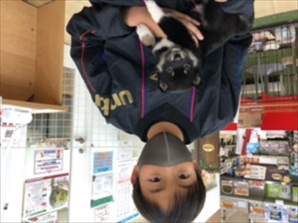 写真