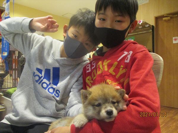 写真