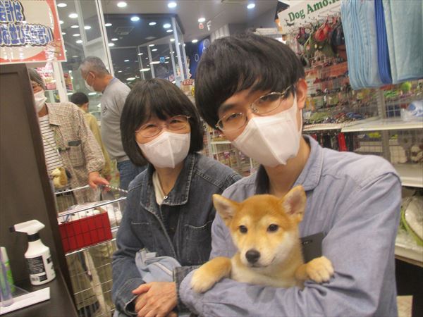 写真