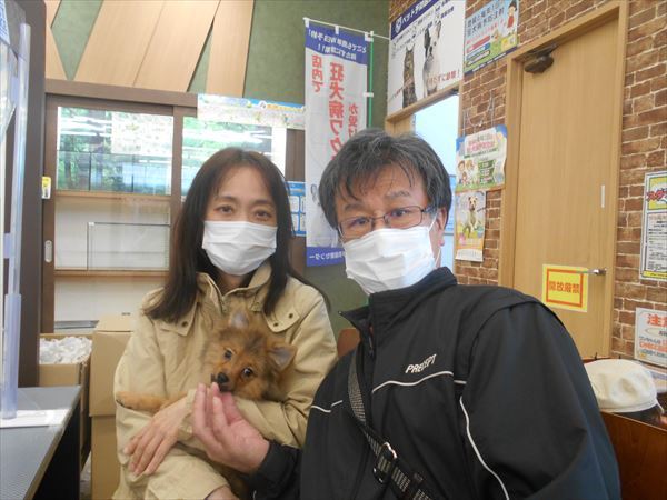 写真