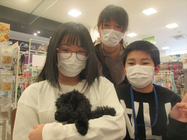 写真