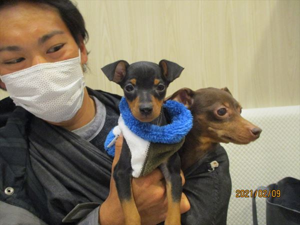 写真