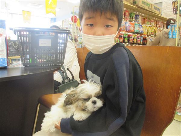 写真