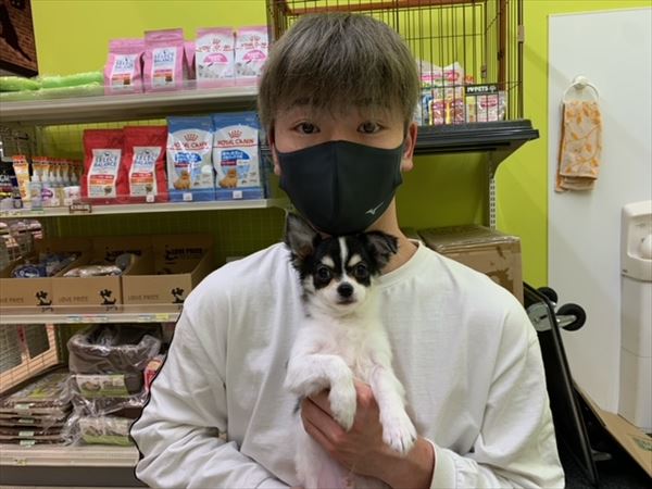 写真