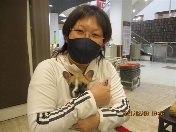 写真