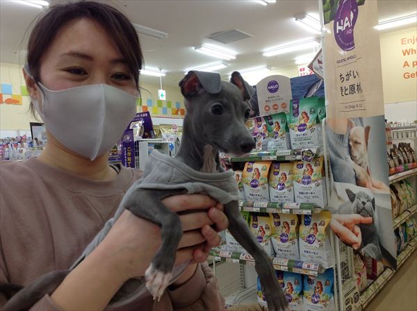 写真