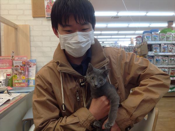写真