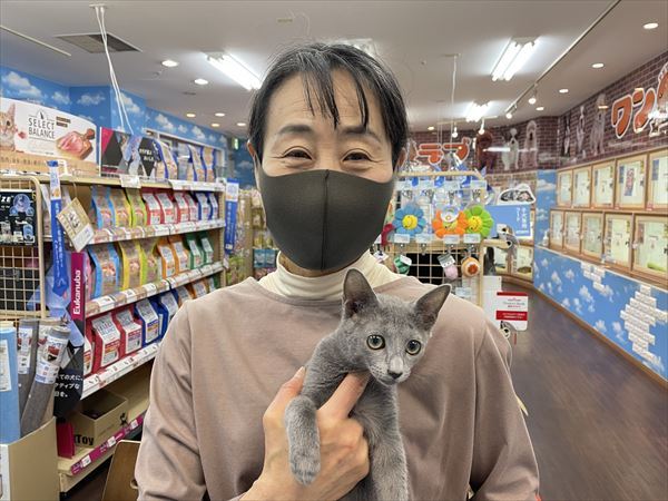 写真