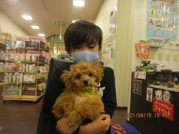 写真