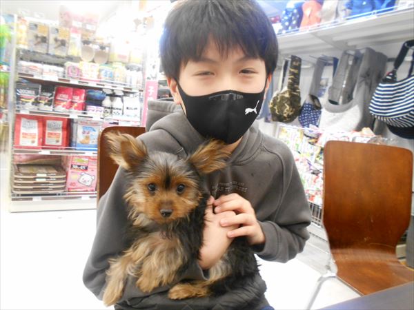 写真