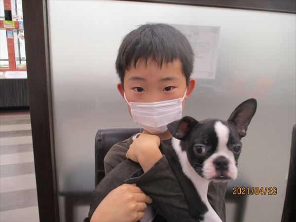 写真