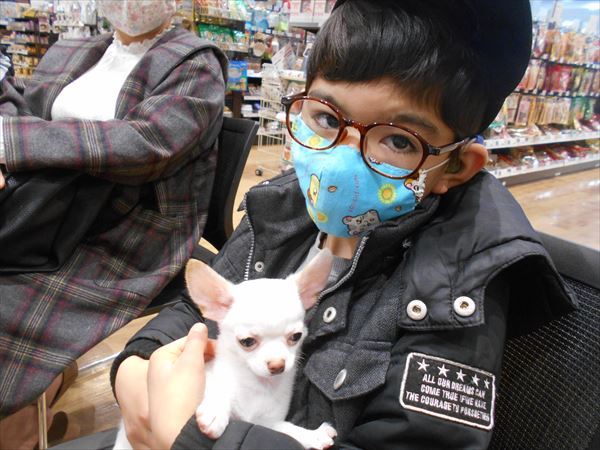 写真