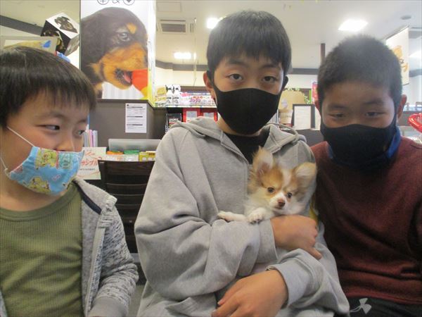 写真
