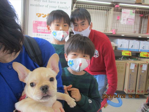 写真