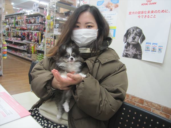 写真