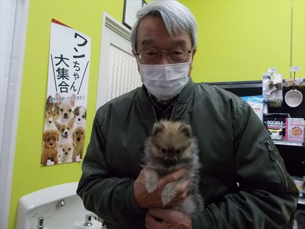 写真