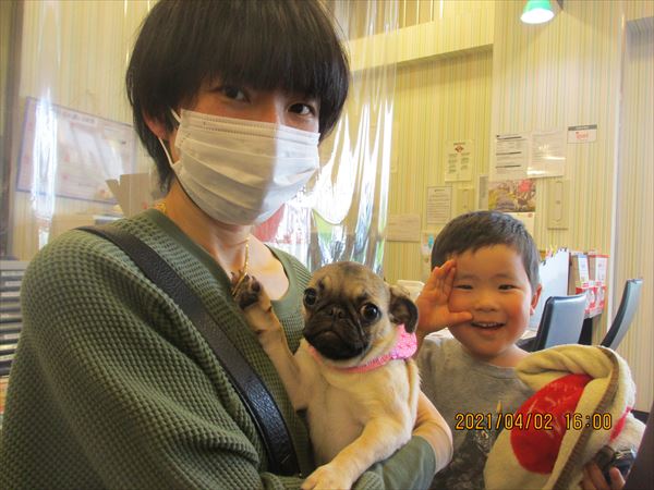 写真