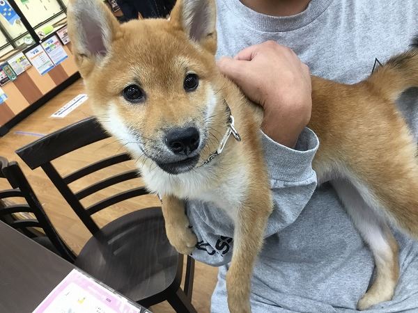 写真