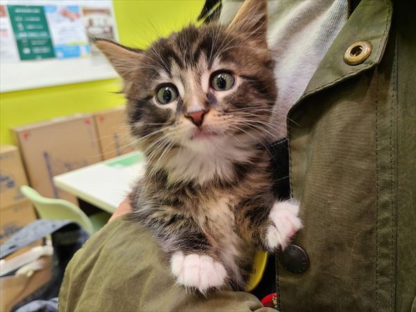 写真