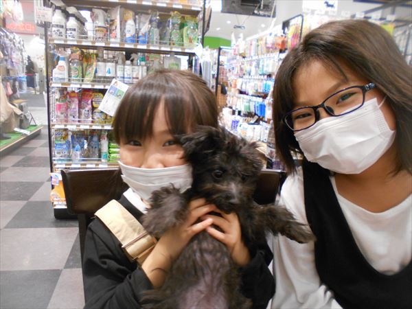 写真