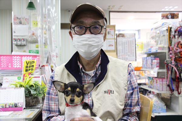写真
