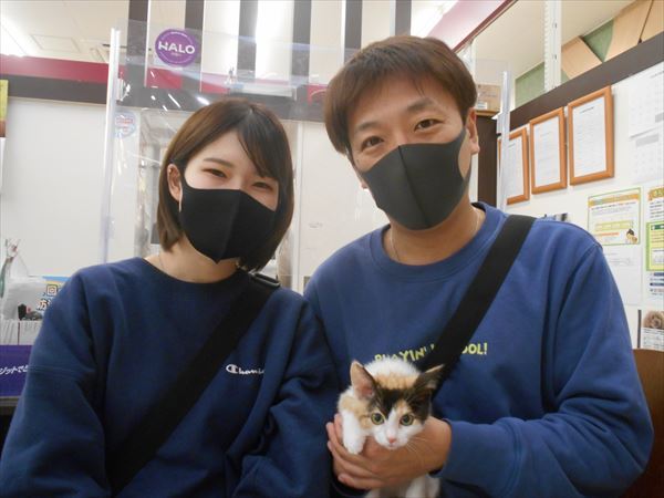 写真