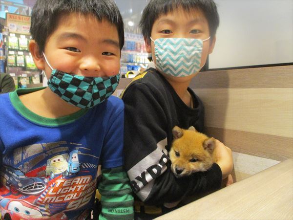 写真