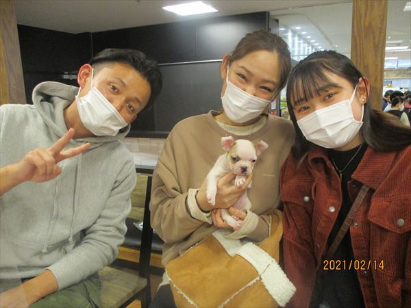 写真
