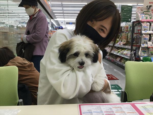 写真