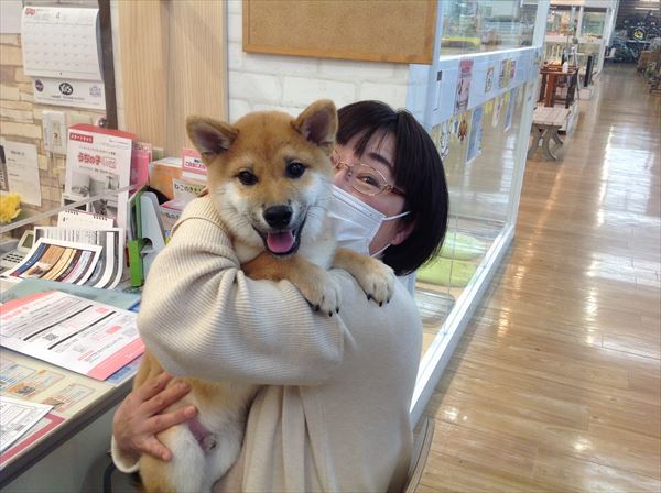 写真