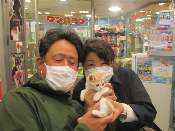 写真