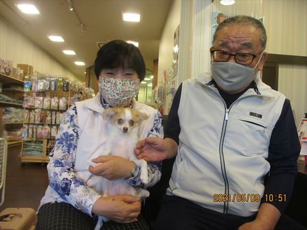 写真